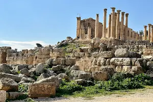Temple of Zeus image