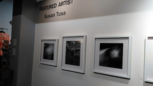 Art Gallery «Detroit Artists Market», reviews and photos, 4719 Woodward Ave, Detroit, MI 48201, USA