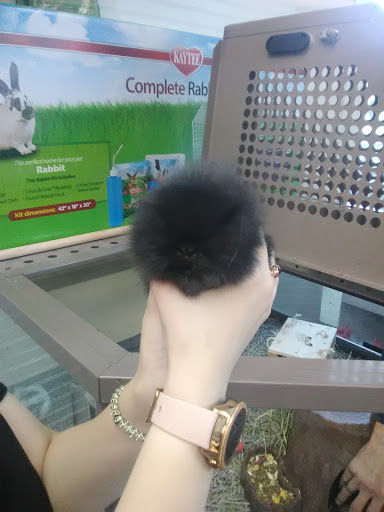 Pet Supply Store «Coastline Pet Supply», reviews and photos, 3530 Northgate Dr, Myrtle Beach, SC 29588, USA