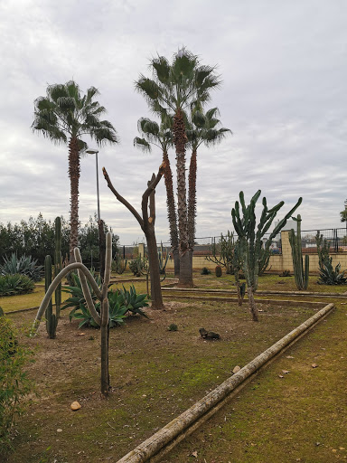 Bodegón Park