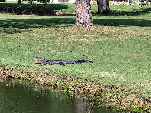 Golf Course «River Greens Golf Course», reviews and photos, 47 W Lake Damon Dr, Avon Park, FL 33825, USA