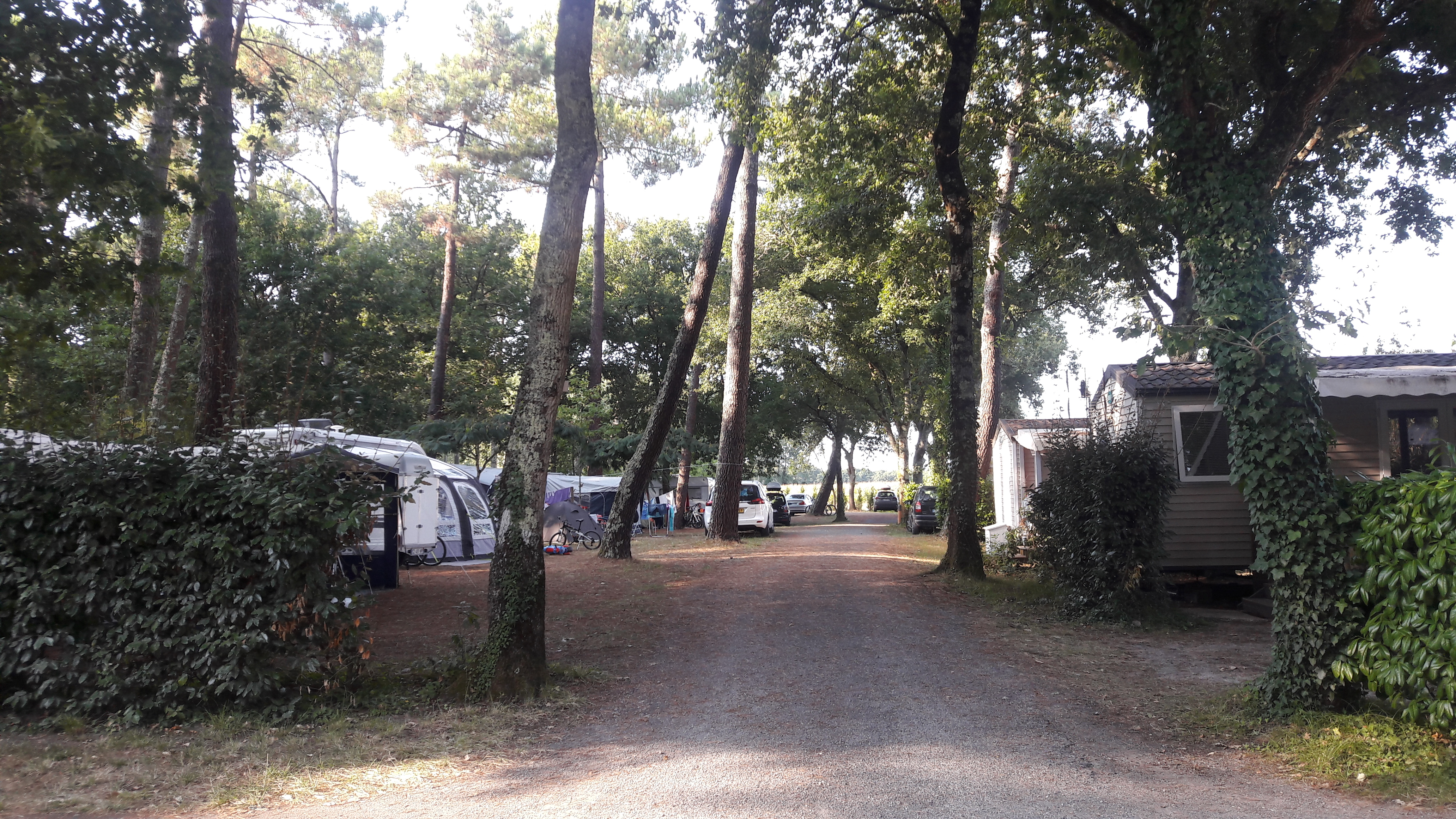 Photo n° 5 de l'avis de Michel.o fait le 21/08/2017 à 12:11