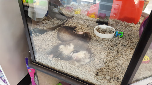 Pet Supply Store «Petco Animal Supplies», reviews and photos, 629 E Dundee Rd, Palatine, IL 60067, USA