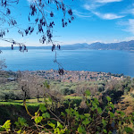 Photo n°1 de l'avis de Fabio.M fait le 26/01/2023 à 05:50 sur le  Pizzeria Ristorante Italy à Torri del Benaco