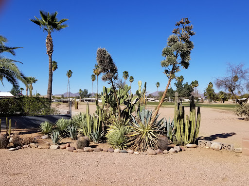 Golf Course «Desert Sands Golf Course», reviews and photos, 1922 S 74th St, Mesa, AZ 85209, USA