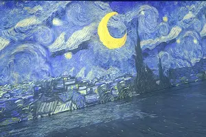 Van Gogh 360 image