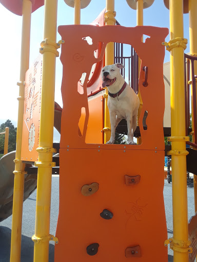 Park «Hilltop Park», reviews and photos, 3242 S Richfield St, Aurora, CO 80013, USA