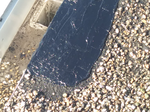 Theme Park «Velocity Air Sports», reviews and photos, 7022 A C Skinner Pkwy #200, Jacksonville, FL 32256, USA