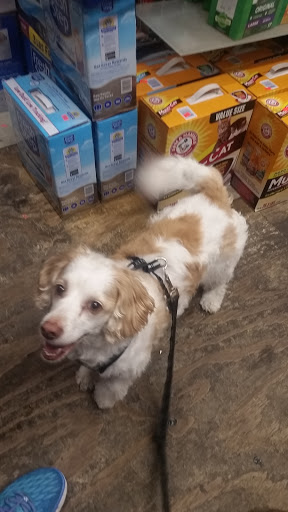 Pet Supply Store «Spoiled Brats», reviews and photos, 4 Bennett Ave, New York, NY 10033, USA