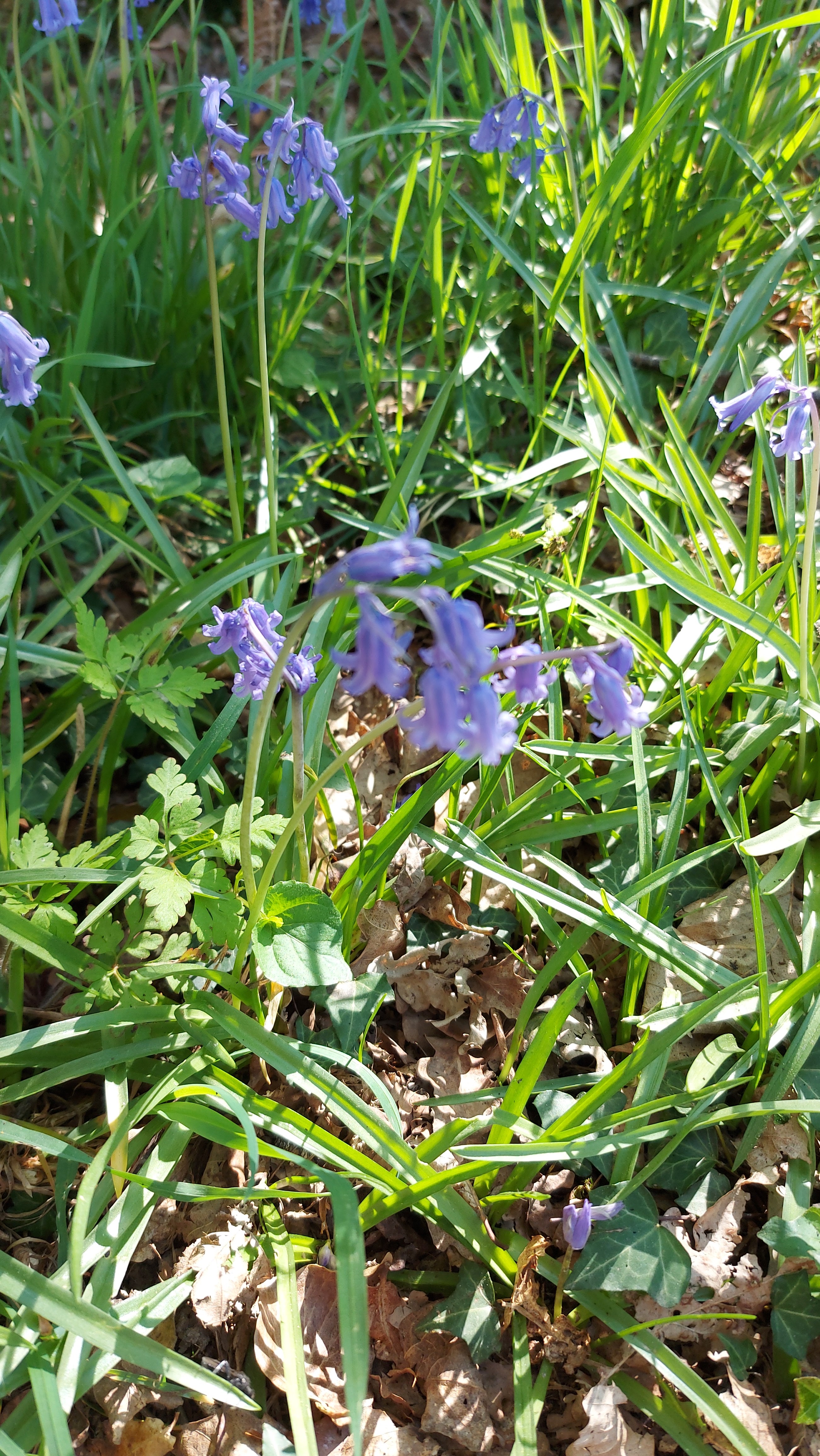 Photo n° 3 de l'avis de Cédric.e fait le 16/04/2022 à 16:36