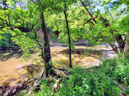 Nature Preserve «Starkey Park», reviews and photos, 667 Sugarbush Dr, Zionsville, IN 46077, USA
