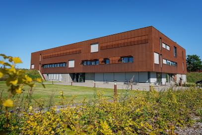 Danish Institute for Advanced Study - DIAS