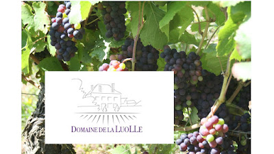 Domaine de LA LUOLLE à Moroges
