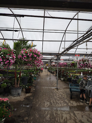 Plant Nursery «Blooming Acres», reviews and photos, 7561 State Rd, Wadsworth, OH 44281, USA