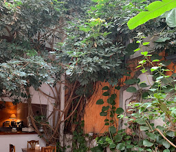 Café del Abuelo photo