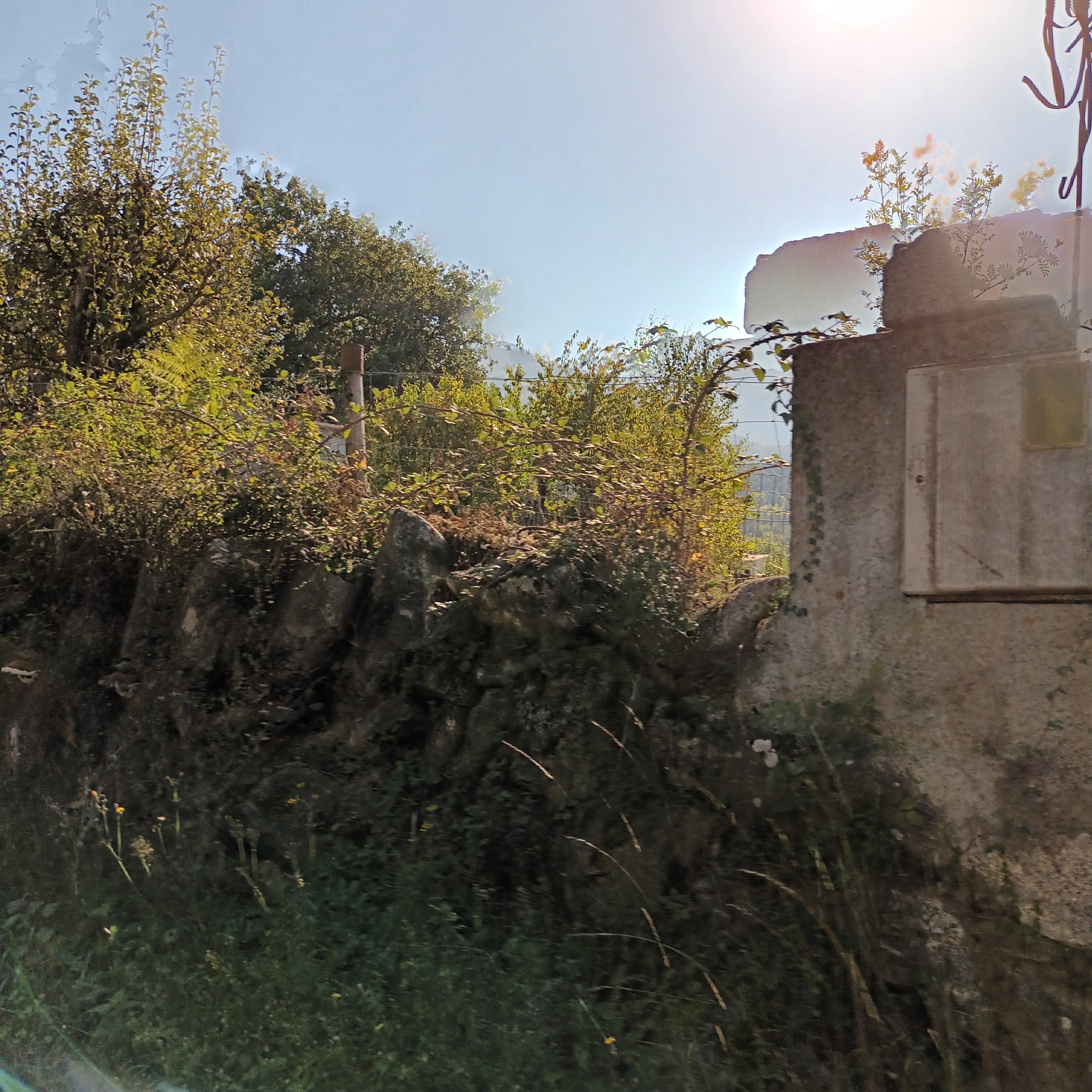 Photo n° 45 de l'avis de Josie. fait le 16/10/2022 à 14:44