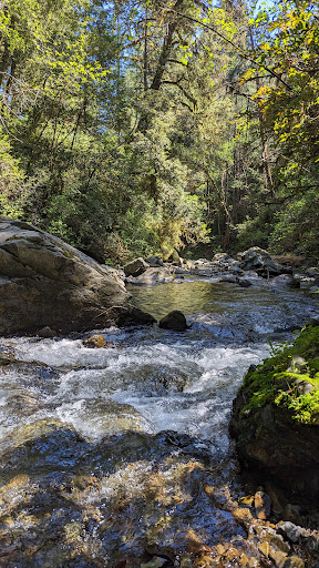 Myrtle Creek Botanical Trailhead