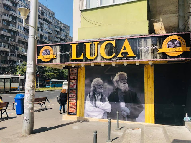 LUCA Delfinului - București