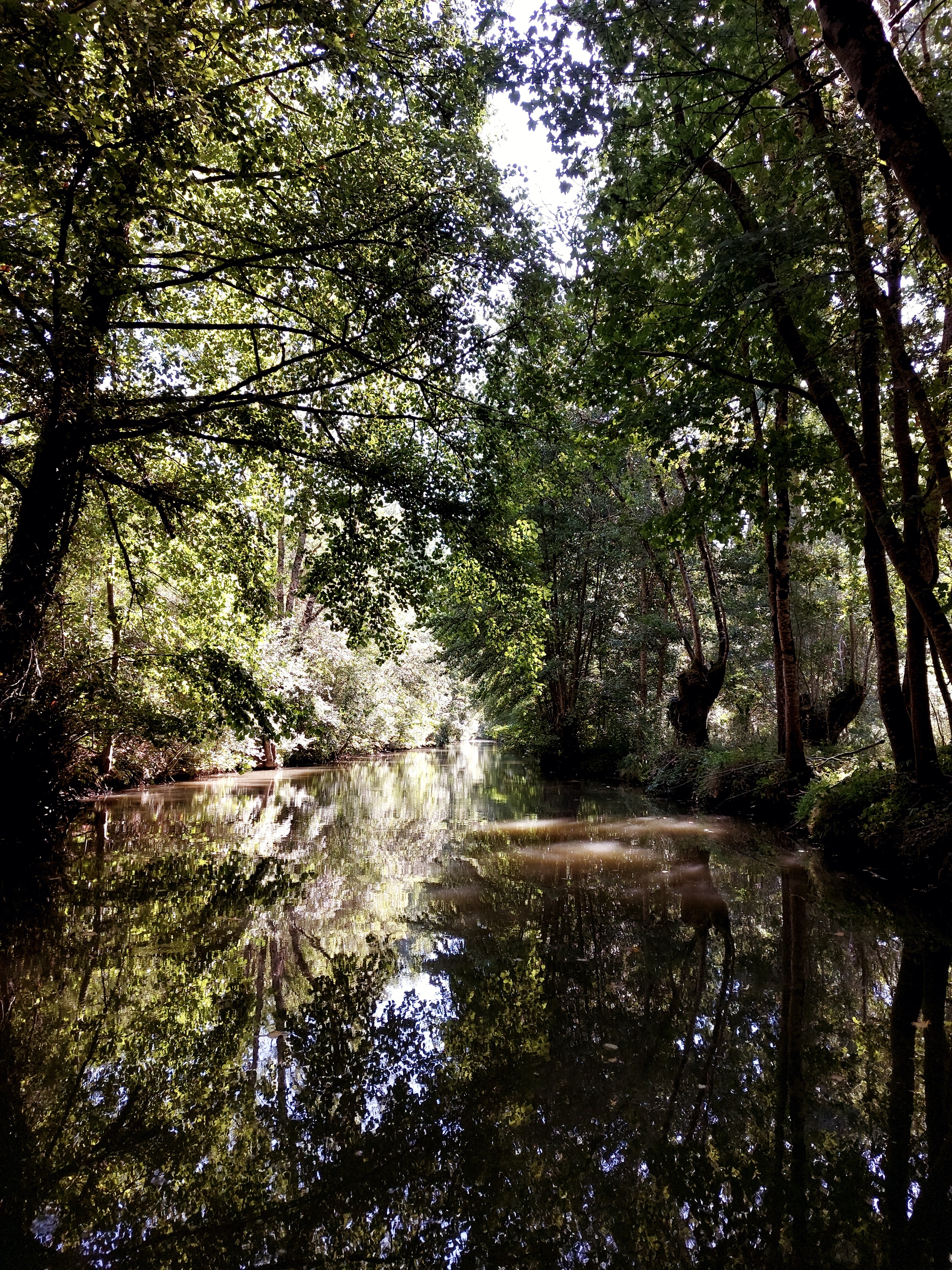 Photo n° 1 de l'avis de Jean-Marc.r fait le 20/08/2022 à 09:11