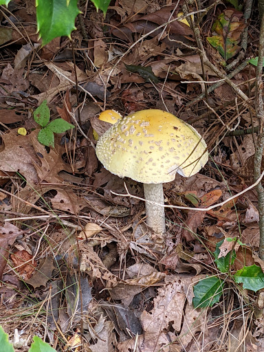 State Park «Nasketucket Bay State Reservation», reviews and photos, Brandt Island Rd,, Mattapoisett, MA 02739, USA