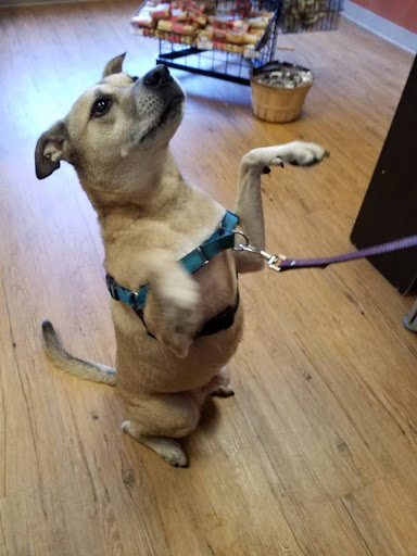 Pet Supply Store «EarthWise Pet Supply - Richardson», reviews and photos, 1310 W Campbell Rd #128, Richardson, TX 75080, USA