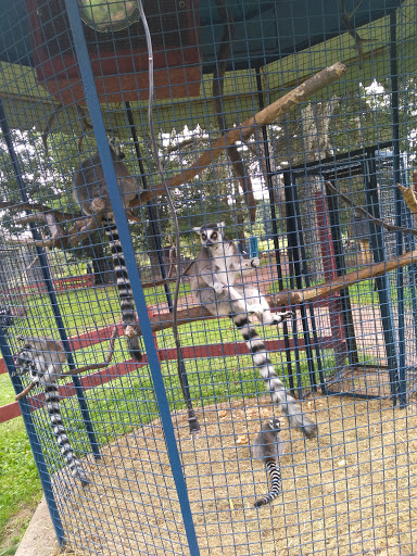 Zoo «Bailiwick Animal Park and Riding Stables», reviews and photos, 118 Castle Rd, Catskill, NY 12414, USA