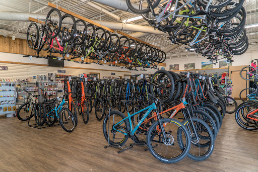 Bicycle Store «Richardson Bike Mart - Dallas», reviews and photos, 9040 Garland Rd, Dallas, TX 75218, USA