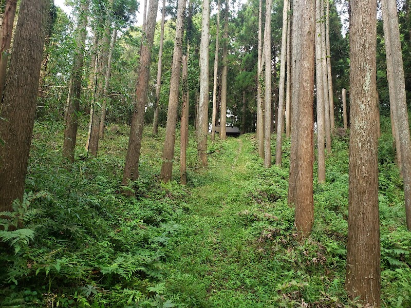 大杉神社