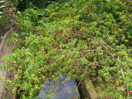 Top 17 cửa hàng brother Huyện Mộc Châu Sơn La 2022