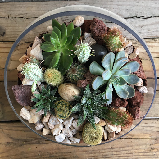 Wholesale Florist «Urban Jungle», reviews and photos, 2603 Sherman Ave NW, Washington, DC 20001, USA