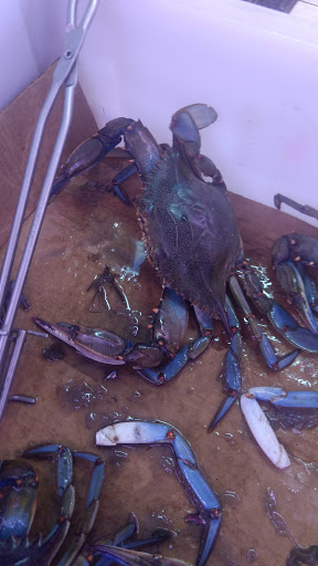 Butcher Shop «Meat Giant», reviews and photos, 27455 S Dixie Hwy, Homestead, FL 33032, USA