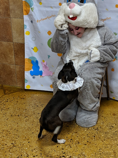 Pet Supply Store «PetSmart», reviews and photos, 1110 NY-112, Port Jefferson Station, NY 11776, USA