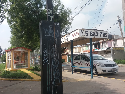 Sitio de Taxis Fraccionamiento San Antonio