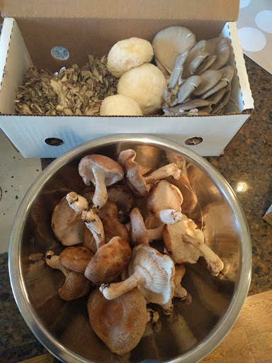 Produce Market «The Woodlands at Phillips», reviews and photos, 1020 Kaolin Rd, Kennett Square, PA 19348, USA