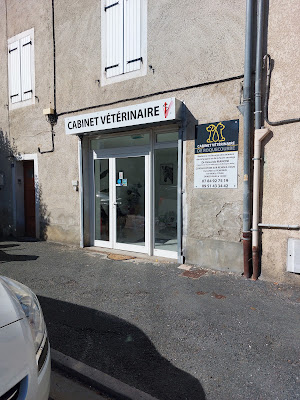 Cabinet Vétérinaire de Roquecourbe à Roquecourbe