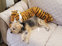 Paula D. Kleinman, A Professional Law Corporation