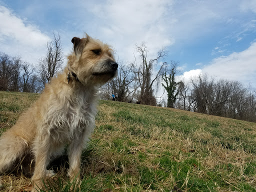 National Park «Battery Kemble Park», reviews and photos, 3035 Chain Bridge Rd NW, Washington, DC 20016, USA
