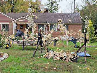 Halloween skeleton display