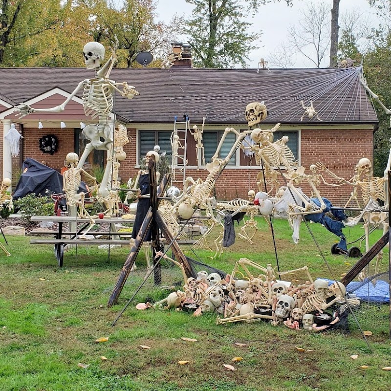 Halloween skeleton display