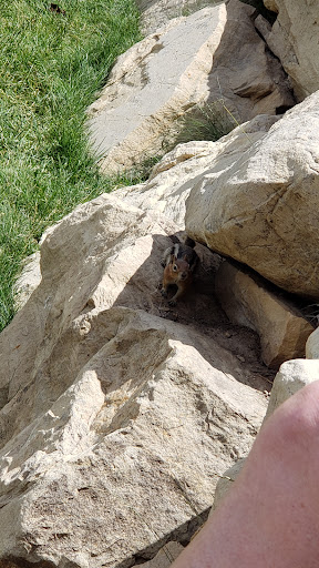 Tourist Attraction «Utah Olympic Park», reviews and photos, 3419 Olympic Pkwy, Park City, UT 84098, USA