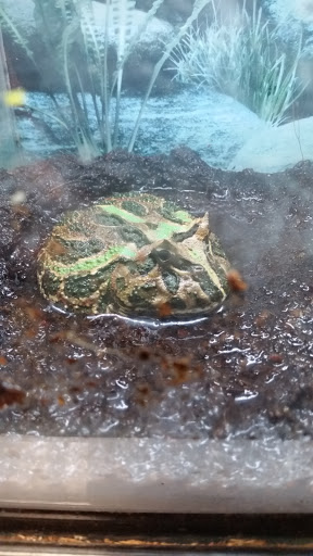 Pet Store «All Pets Club», reviews and photos, 405 Queen St, Southington, CT 06489, USA