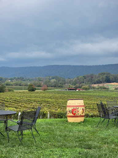 Vineyard «Breaux Vineyards», reviews and photos, 36888 Breaux Vineyards Ln, Purcellville, VA 20132, USA