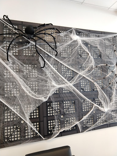 Nissan Dealer «Leith Nissan», reviews and photos, 2100 Autopark Blvd, Cary, NC 27511, USA