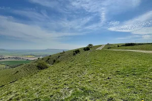 Castle Hill NNR image