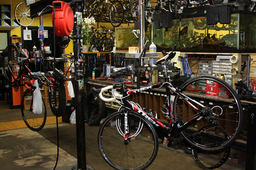 Bicycle Store «Oswego Cyclery», reviews and photos, 59 Main St, Oswego, IL 60543, USA