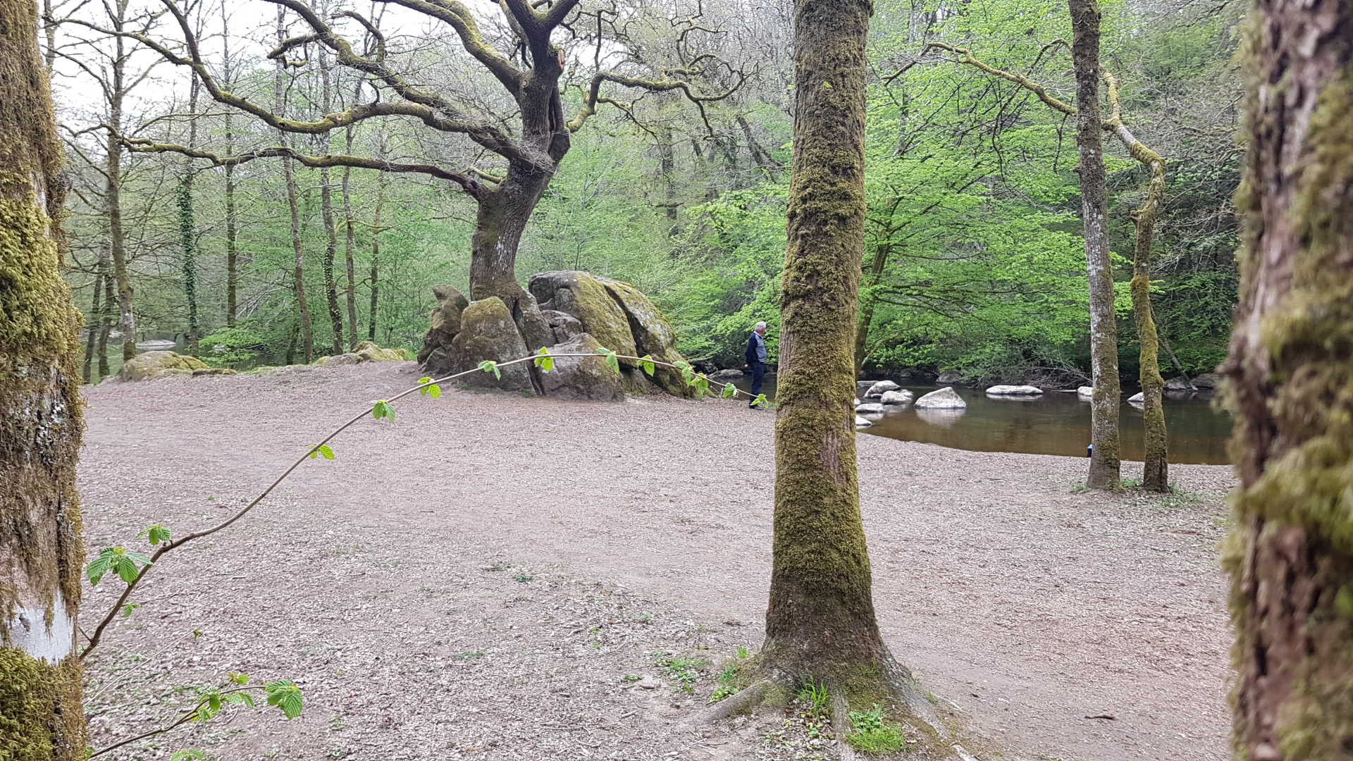 Photo n° 1 de l'avis de Hendrik.i fait le 21/04/2019 à 14:12