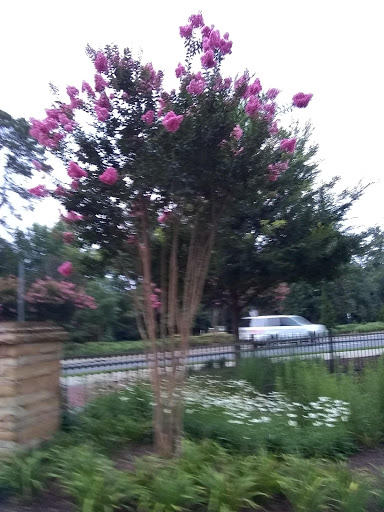 Park «Abernathy Greenway», reviews and photos, 70 Abernathy Rd NE, Sandy Springs, GA 30328, USA