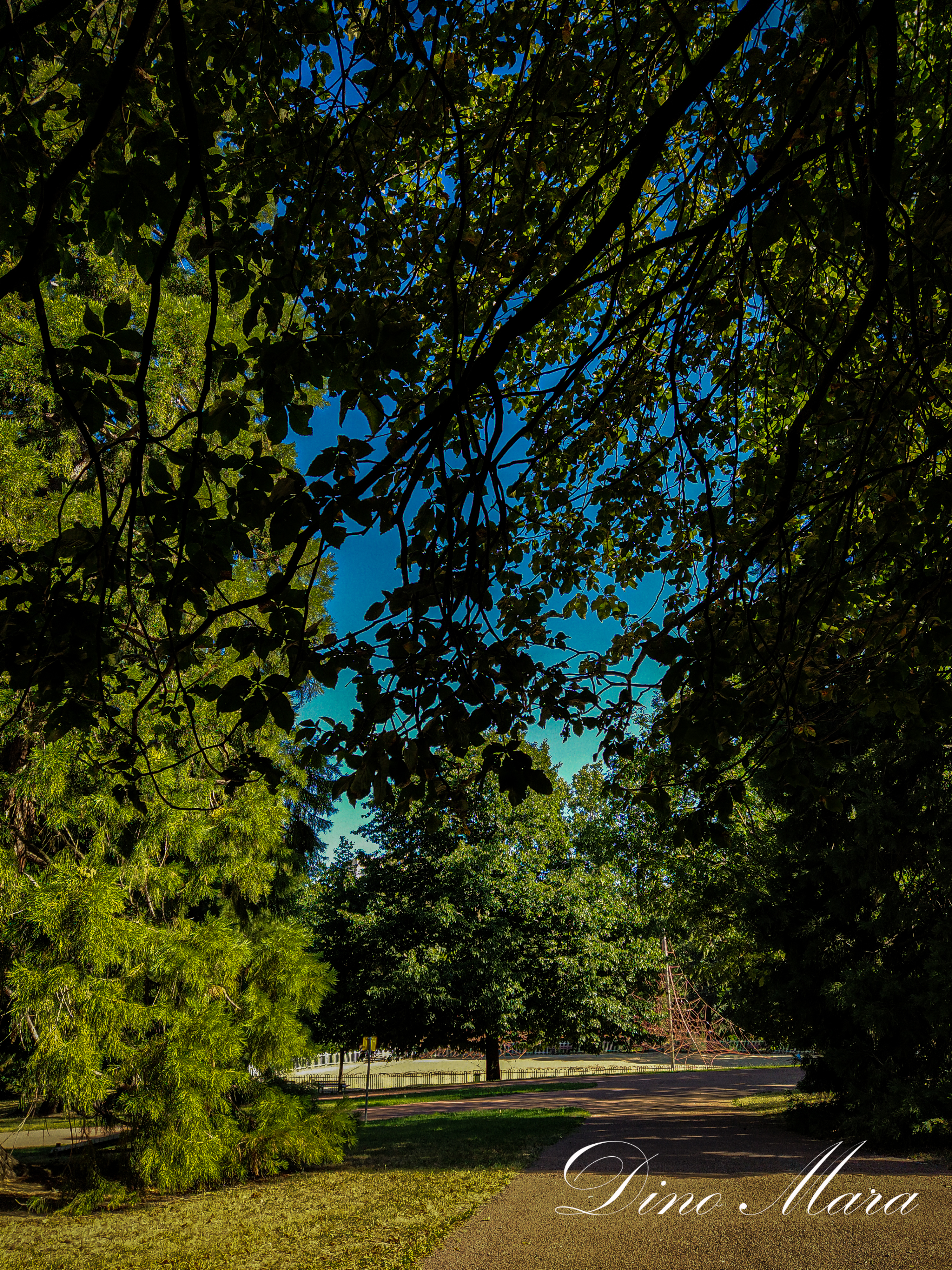 Photo n° 1 de l'avis de Dino.a fait le 28/07/2022 à 15:38