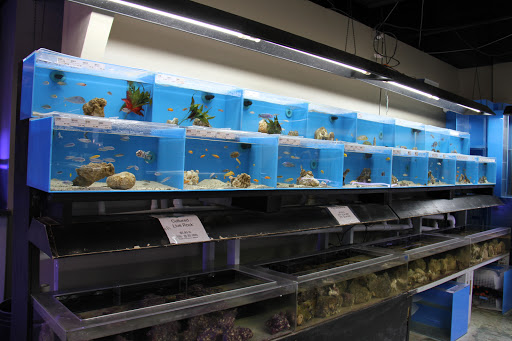 Tropical Fish Store «Optimum Aquarium», reviews and photos, 840 Ernest W Barrett Pkwy NW #700, Kennesaw, GA 30144, USA