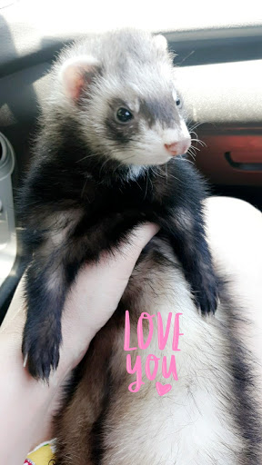 Pet Supply Store «Petco Animal Supplies», reviews and photos, 280 Kensington Blvd, Slidell, LA 70458, USA